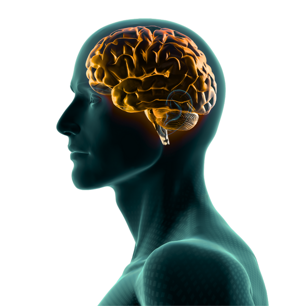 Neuroscience in Sales Untitled design 7